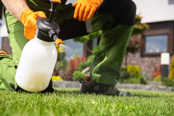 Best Residential Pest Control  in Montrose, CO